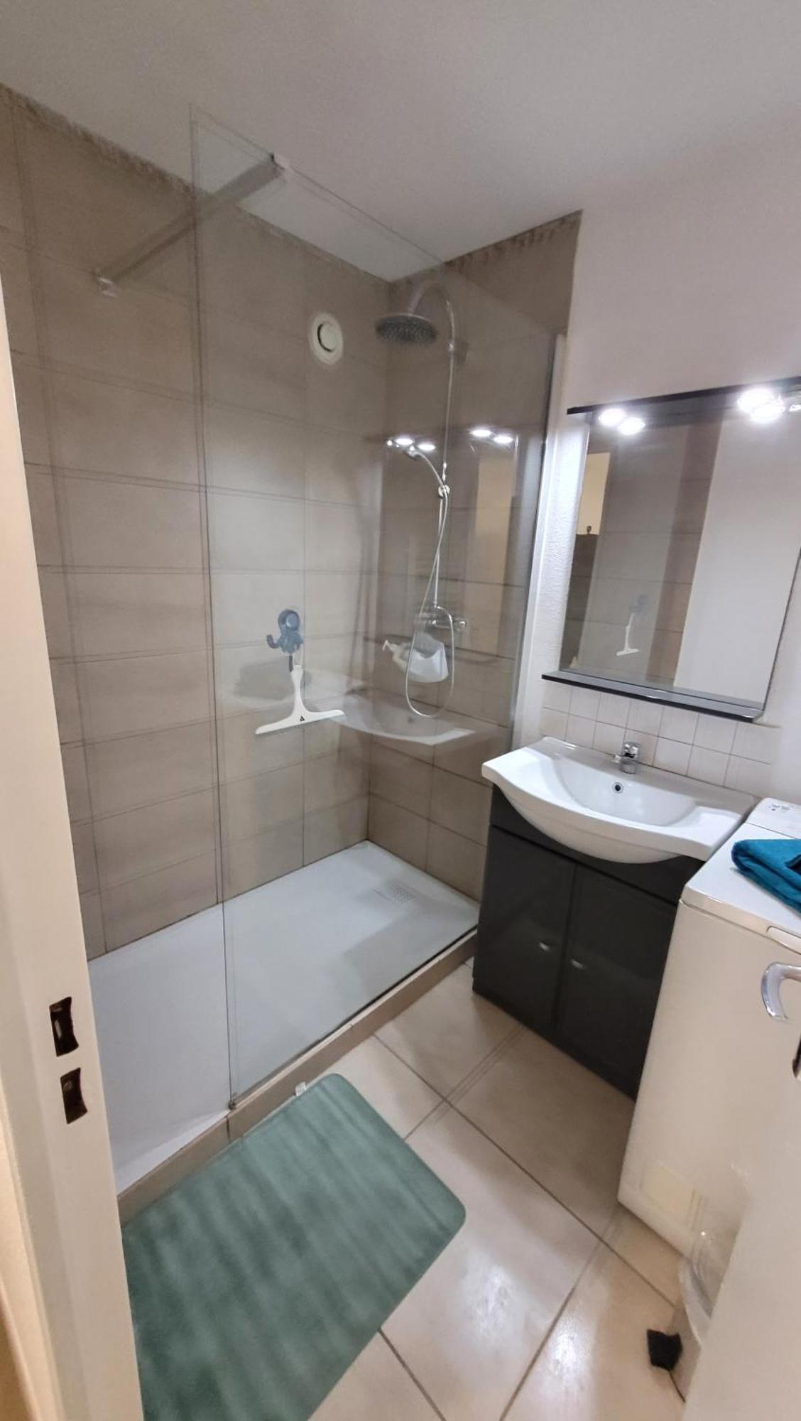 Grand Studio Confortable Jusqu'A 4 Personnes Динь-ле-Бен Экстерьер фото